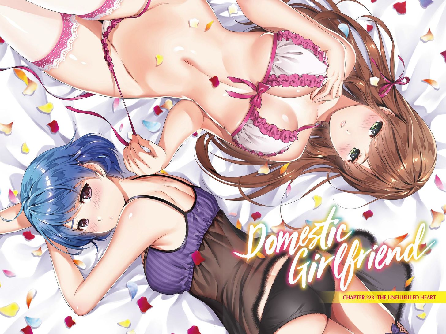 Read DOMESTIC NA KANOJO EN Manga Online