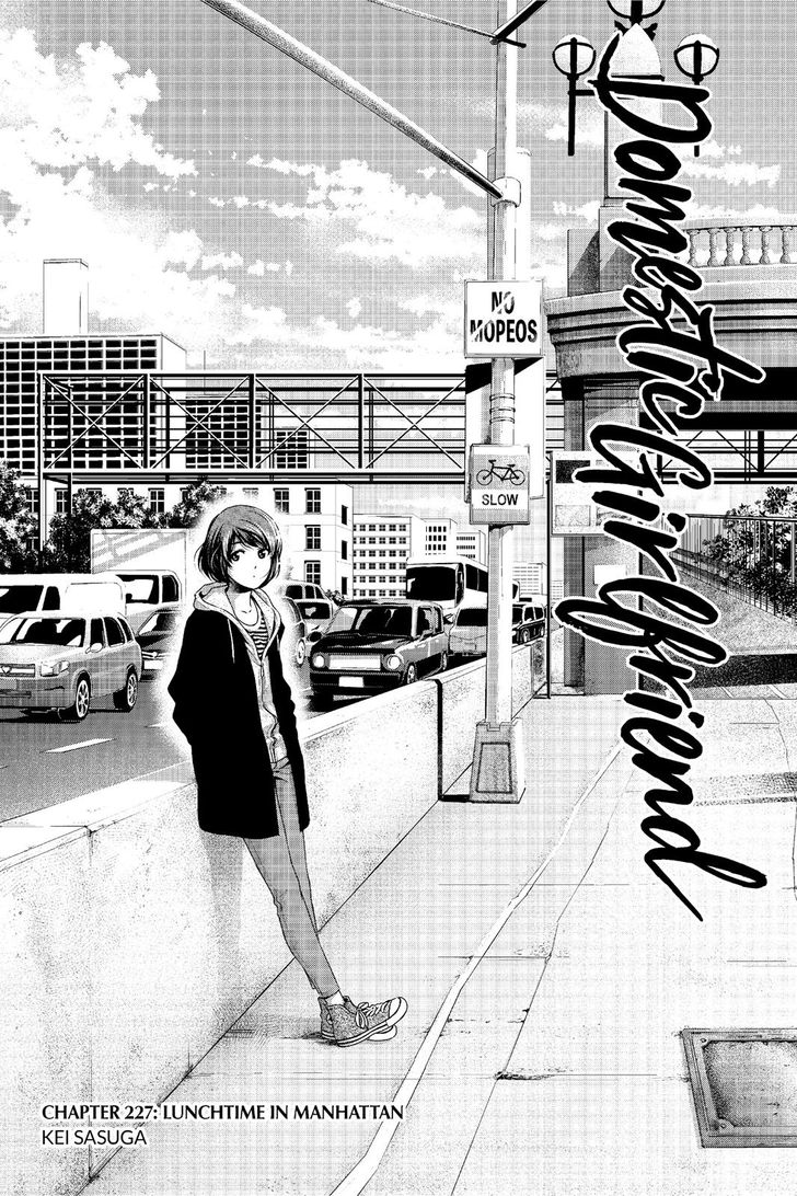 Read DOMESTIC NA KANOJO EN Manga Online