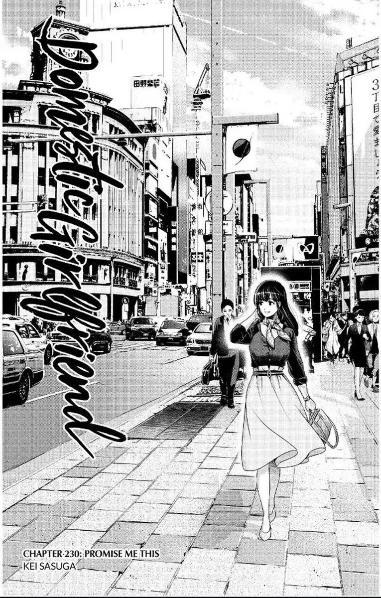 Read DOMESTIC NA KANOJO EN Manga Online