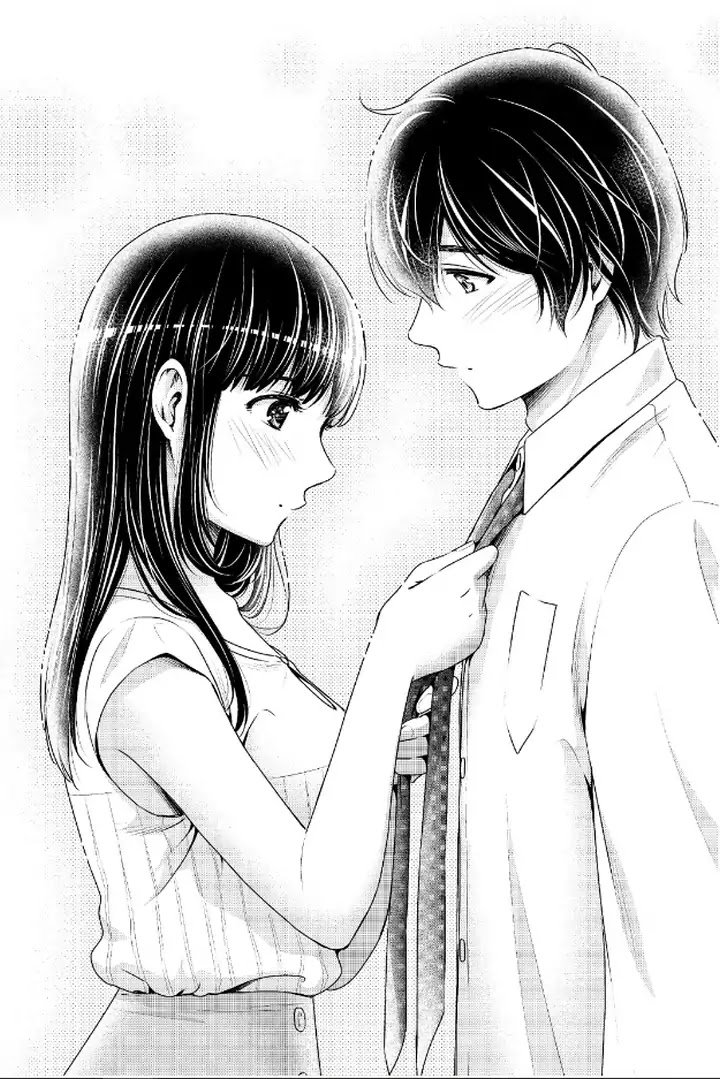 Read DOMESTIC NA KANOJO EN Manga Online