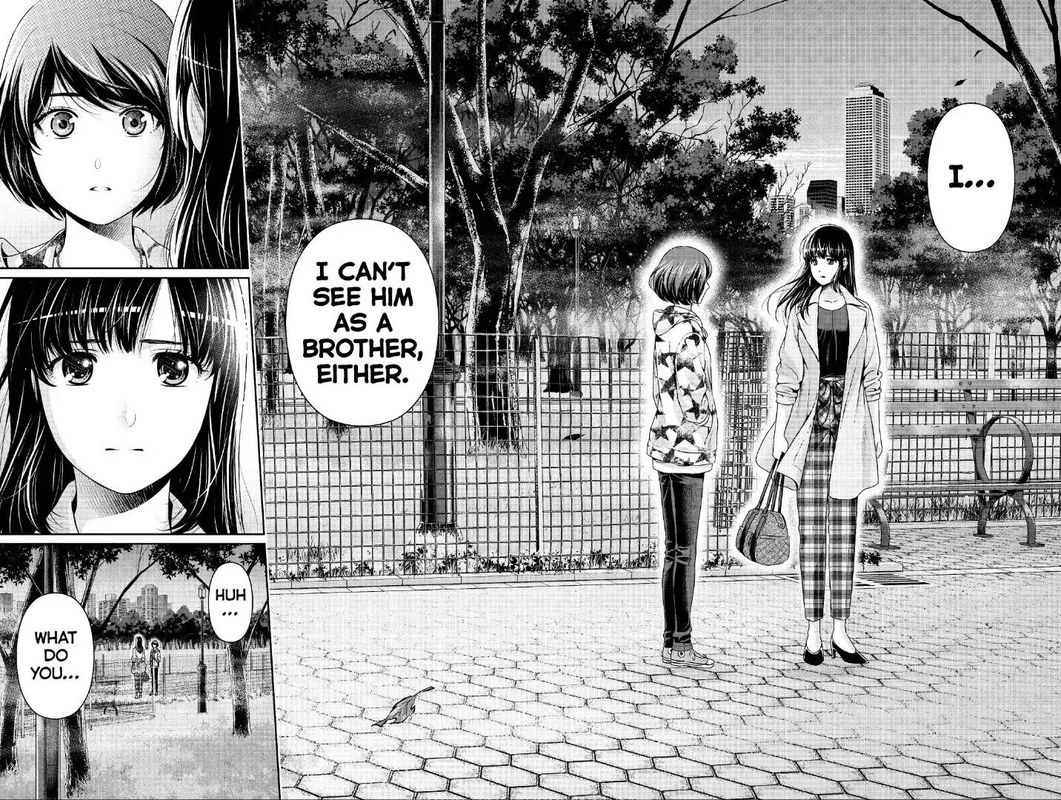 Read DOMESTIC NA KANOJO EN Manga Online