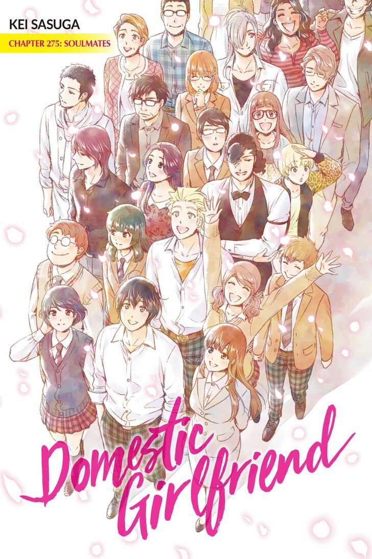 Read DOMESTIC NA KANOJO EN Manga Online