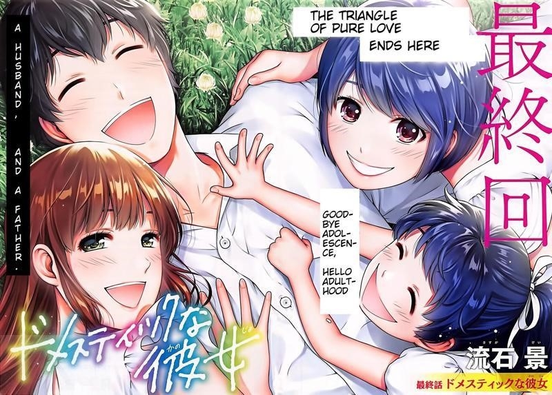 Read DOMESTIC NA KANOJO EN Manga Online