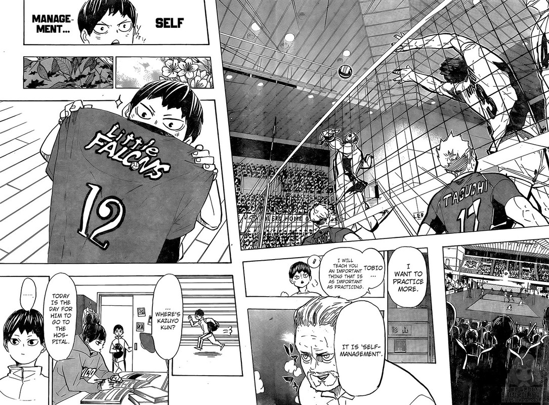 Read Haikyuu!! EN Manga Online