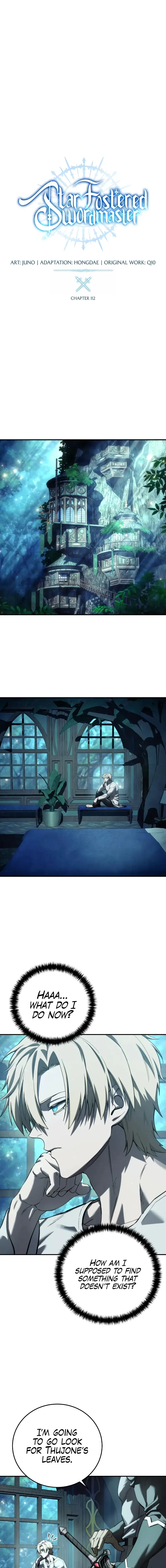 Read The Stellar Swordmaster EN Manga Online