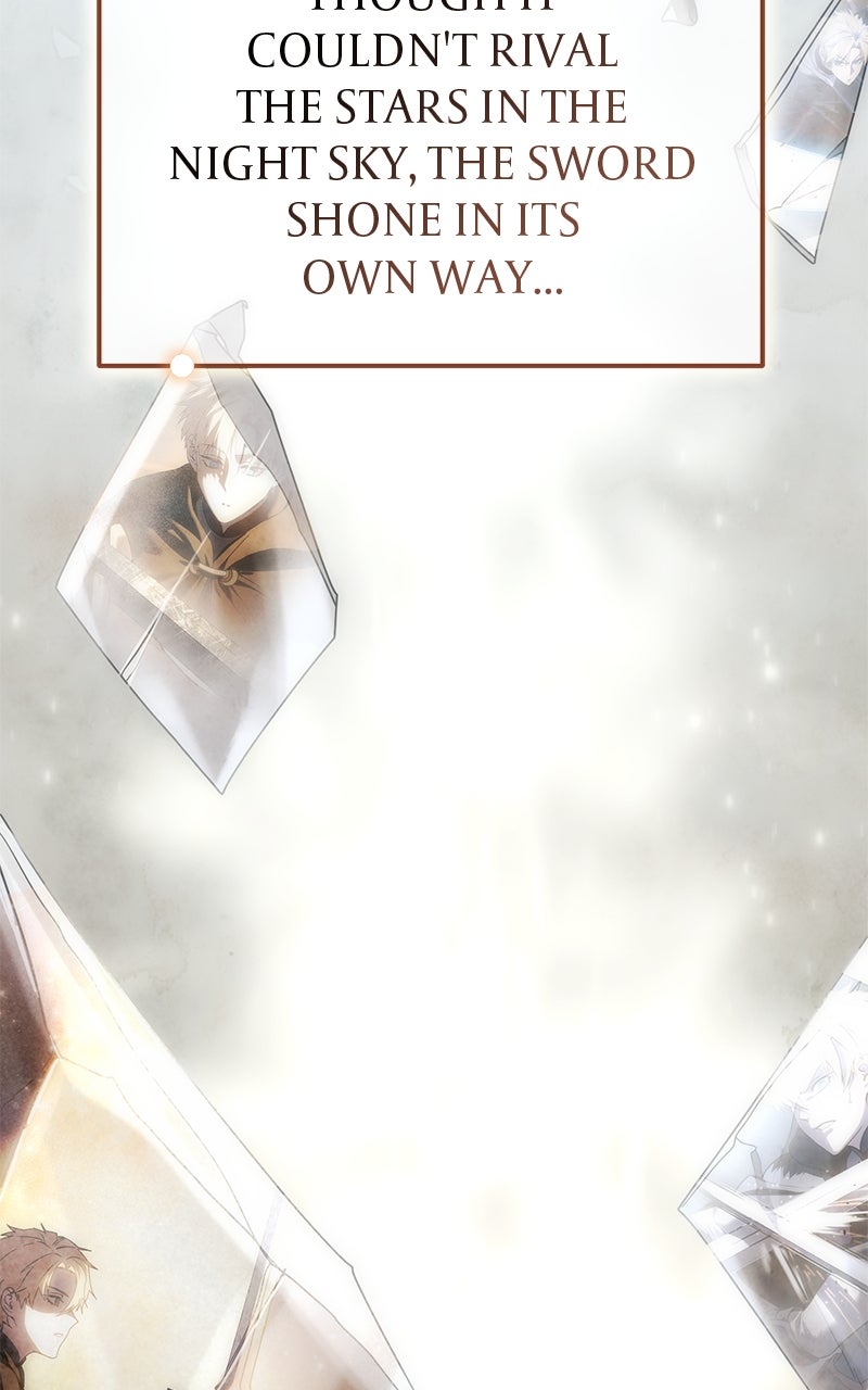 Read The Stellar Swordmaster EN Manga Online