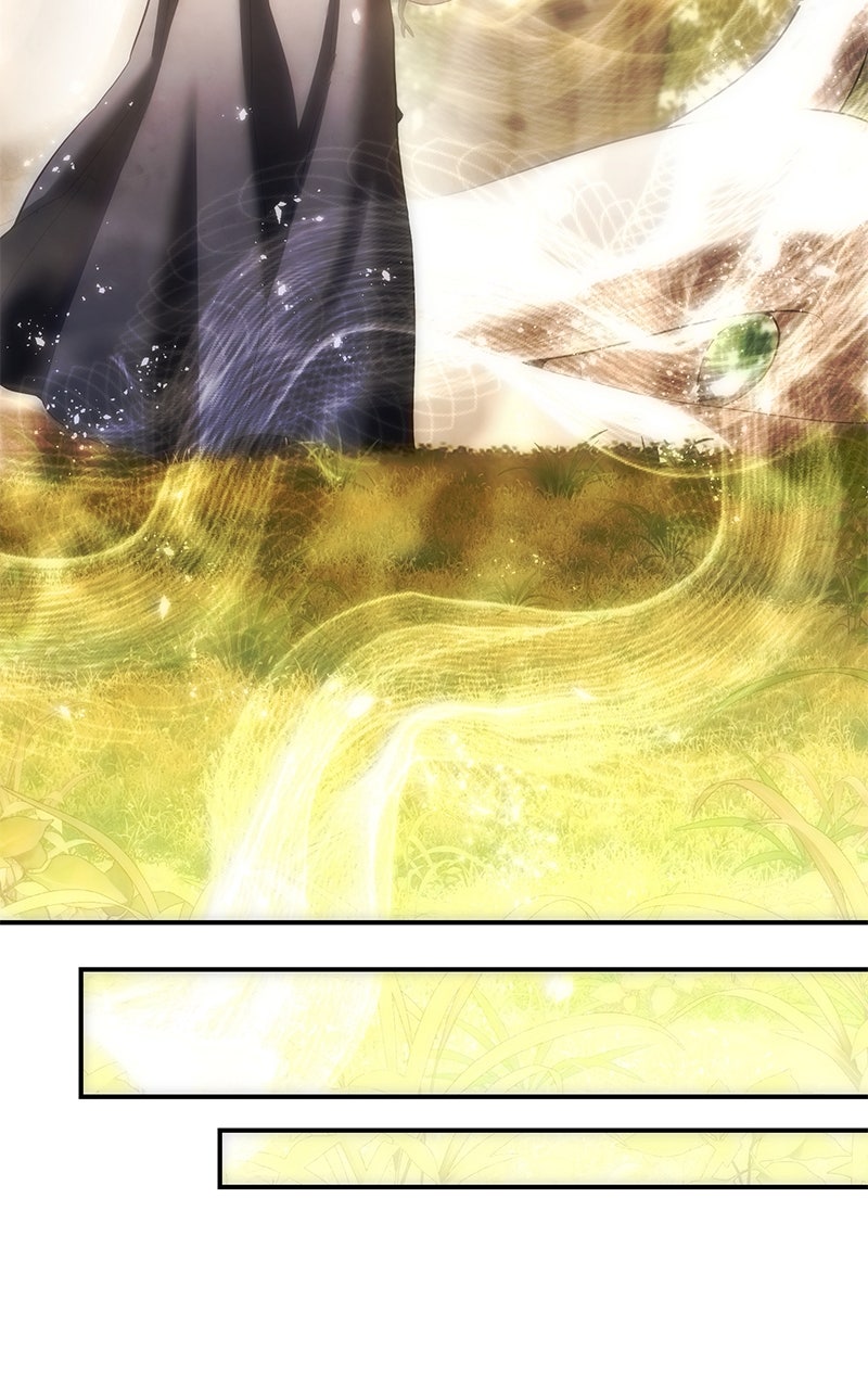 Read The Stellar Swordmaster EN Manga Online