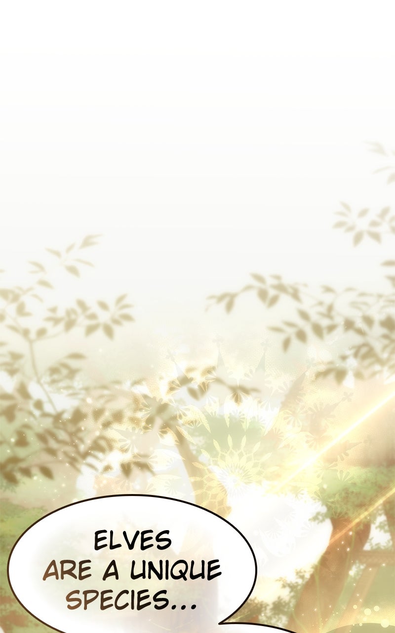 Read The Stellar Swordmaster EN Manga Online