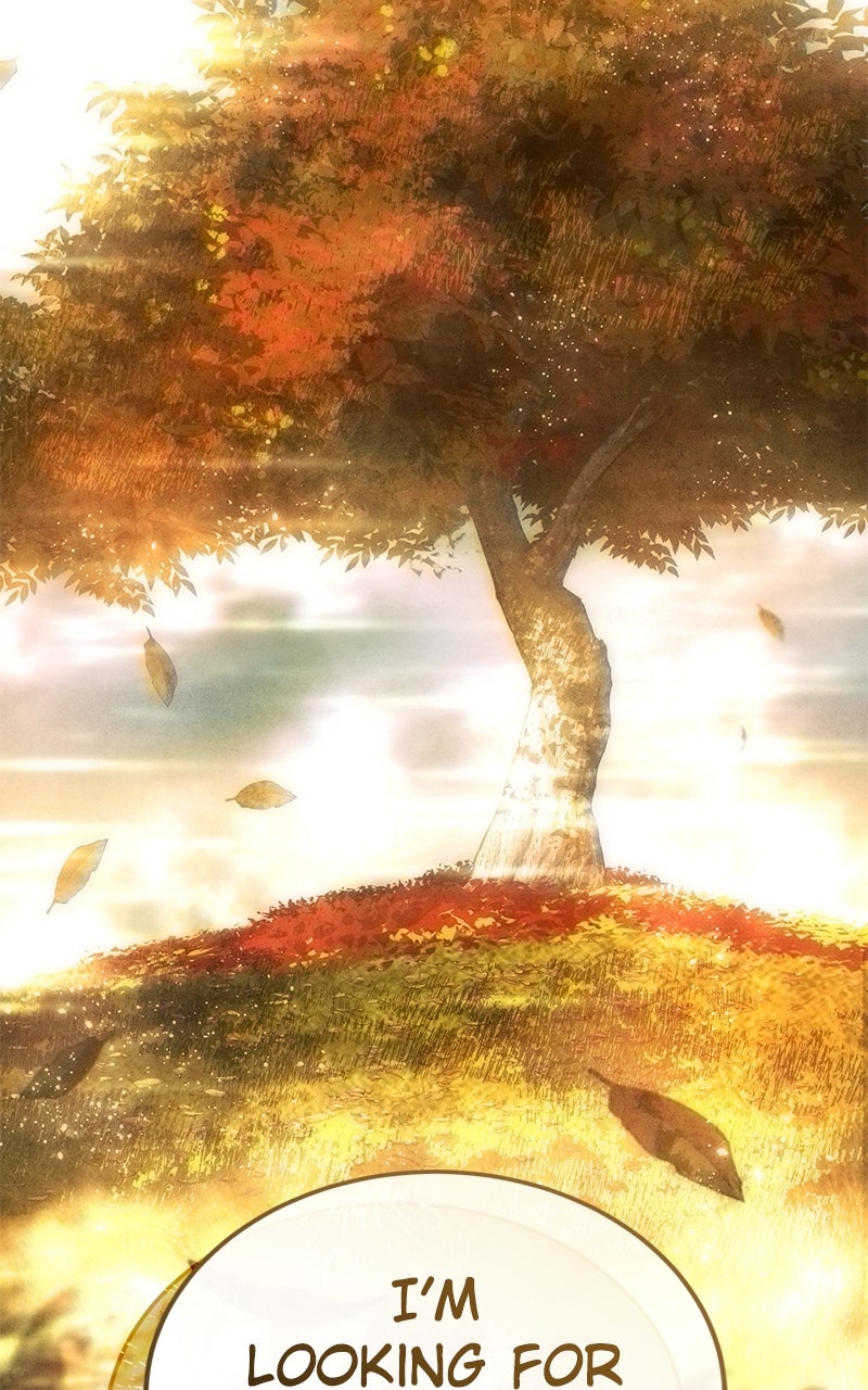 Read The Stellar Swordmaster EN Manga Online