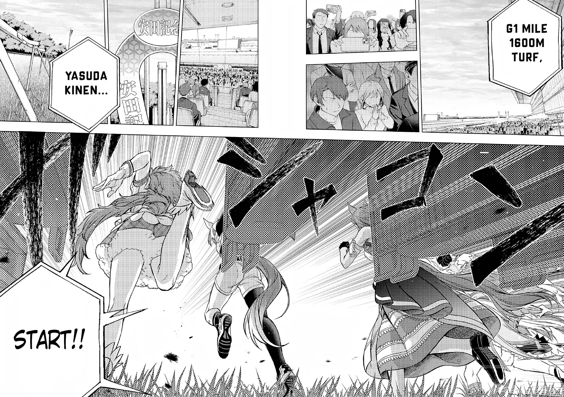 Read Uma Musume Cinderella Gray EN Manga Online