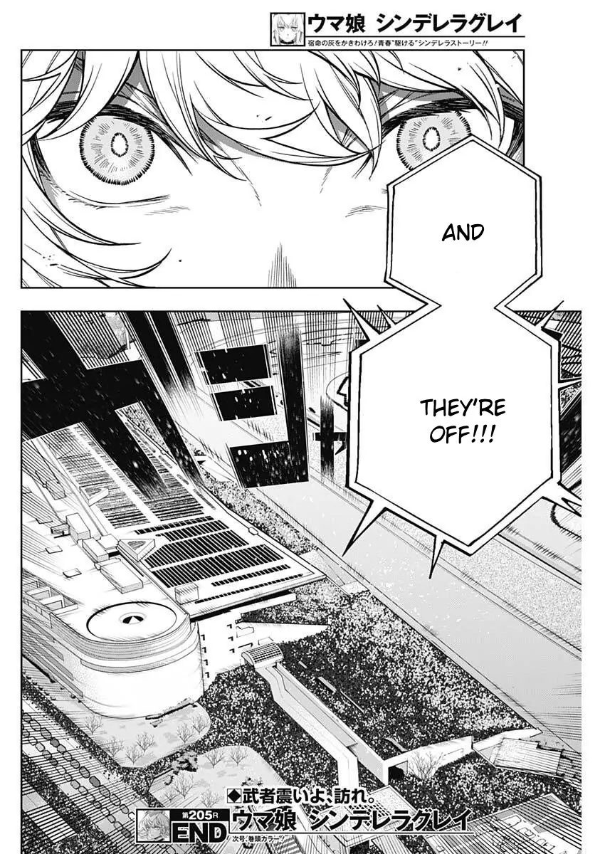 Read Uma Musume Cinderella Gray EN Manga Online