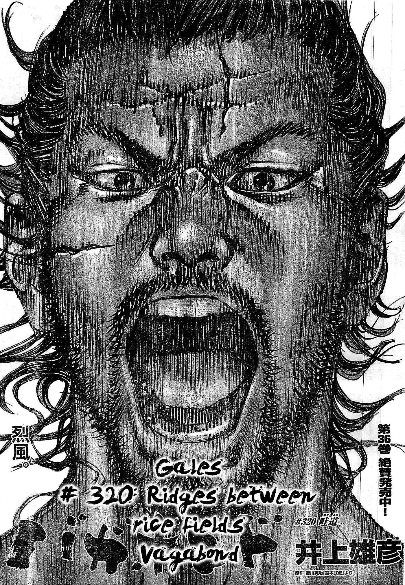 Read Vagabond EN Manga Online