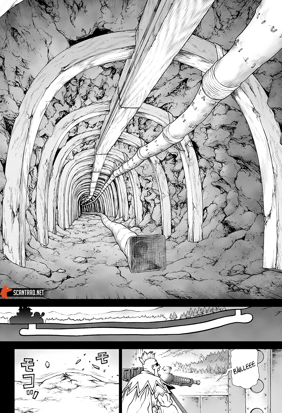 Read Dr Stone FR Manga Online