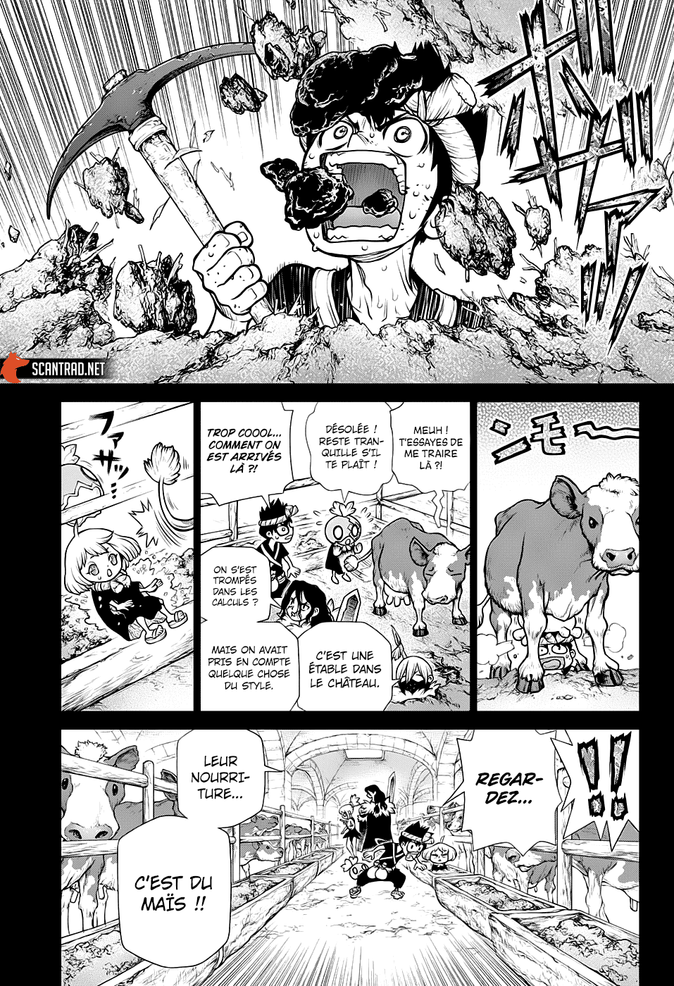 Read Dr Stone FR Manga Online