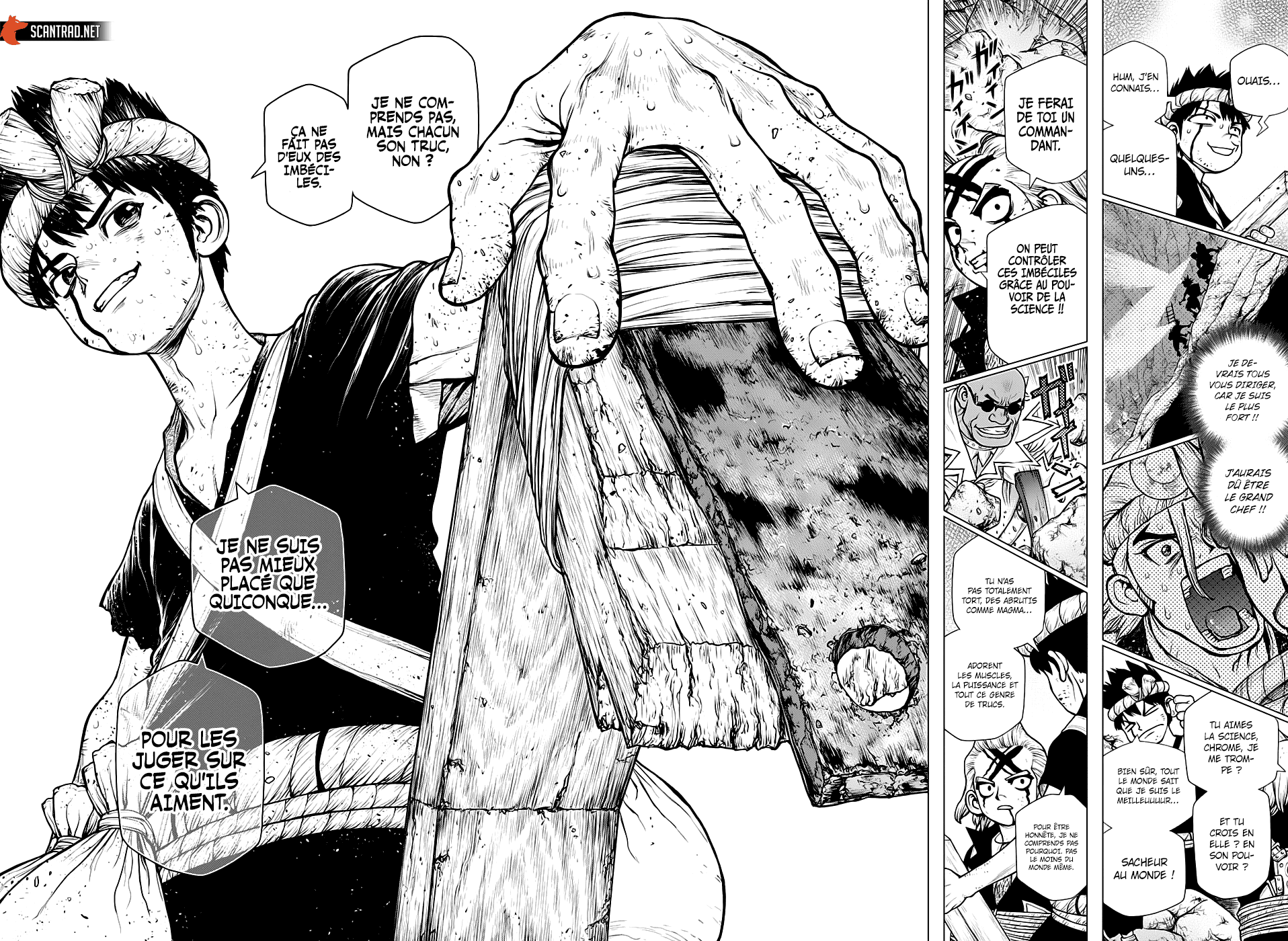 Read Dr Stone FR Manga Online