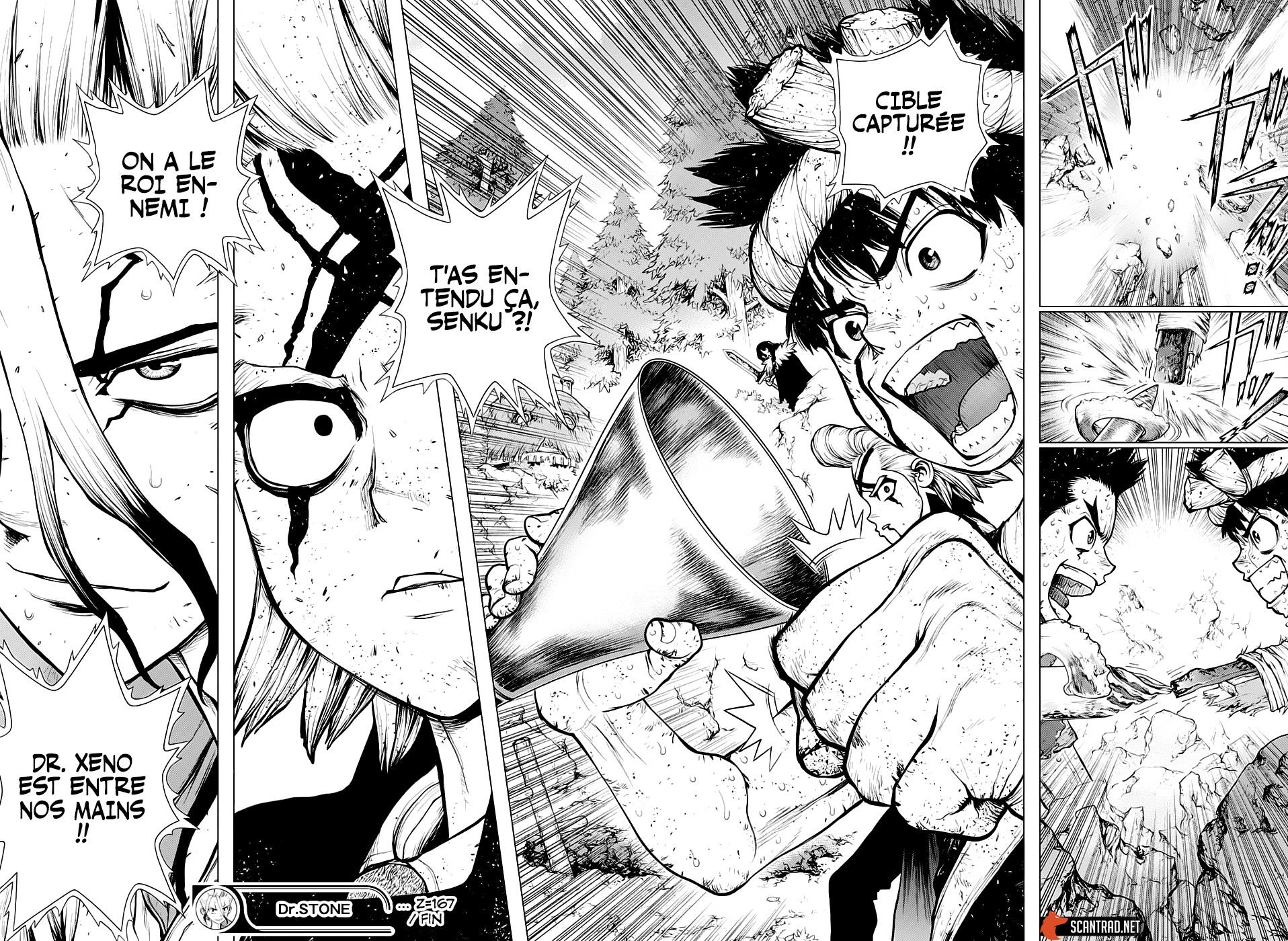 Read Dr Stone FR Manga Online