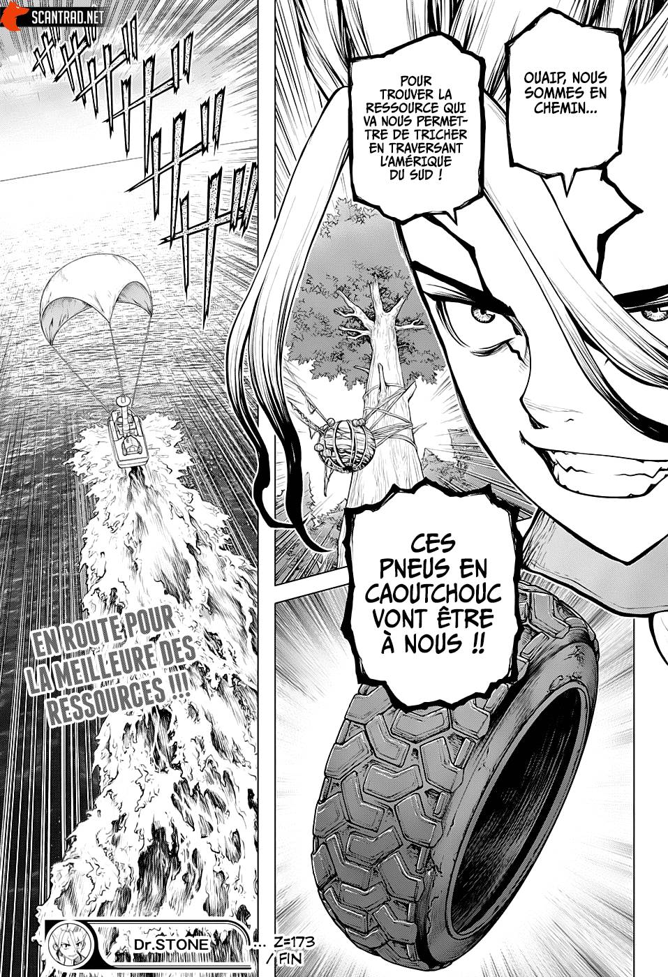 Read Dr Stone FR Manga Online