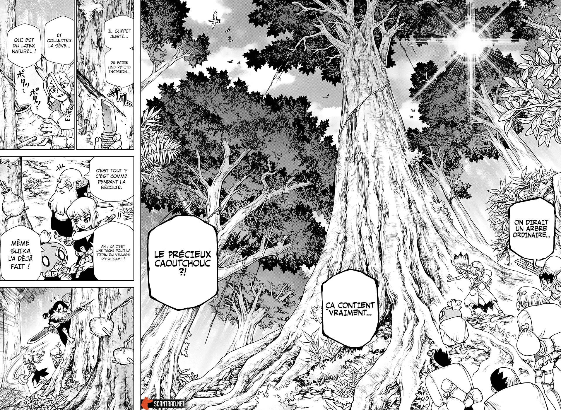 Read Dr Stone FR Manga Online