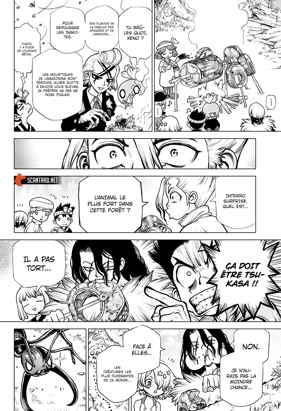 Read Dr Stone FR Manga Online
