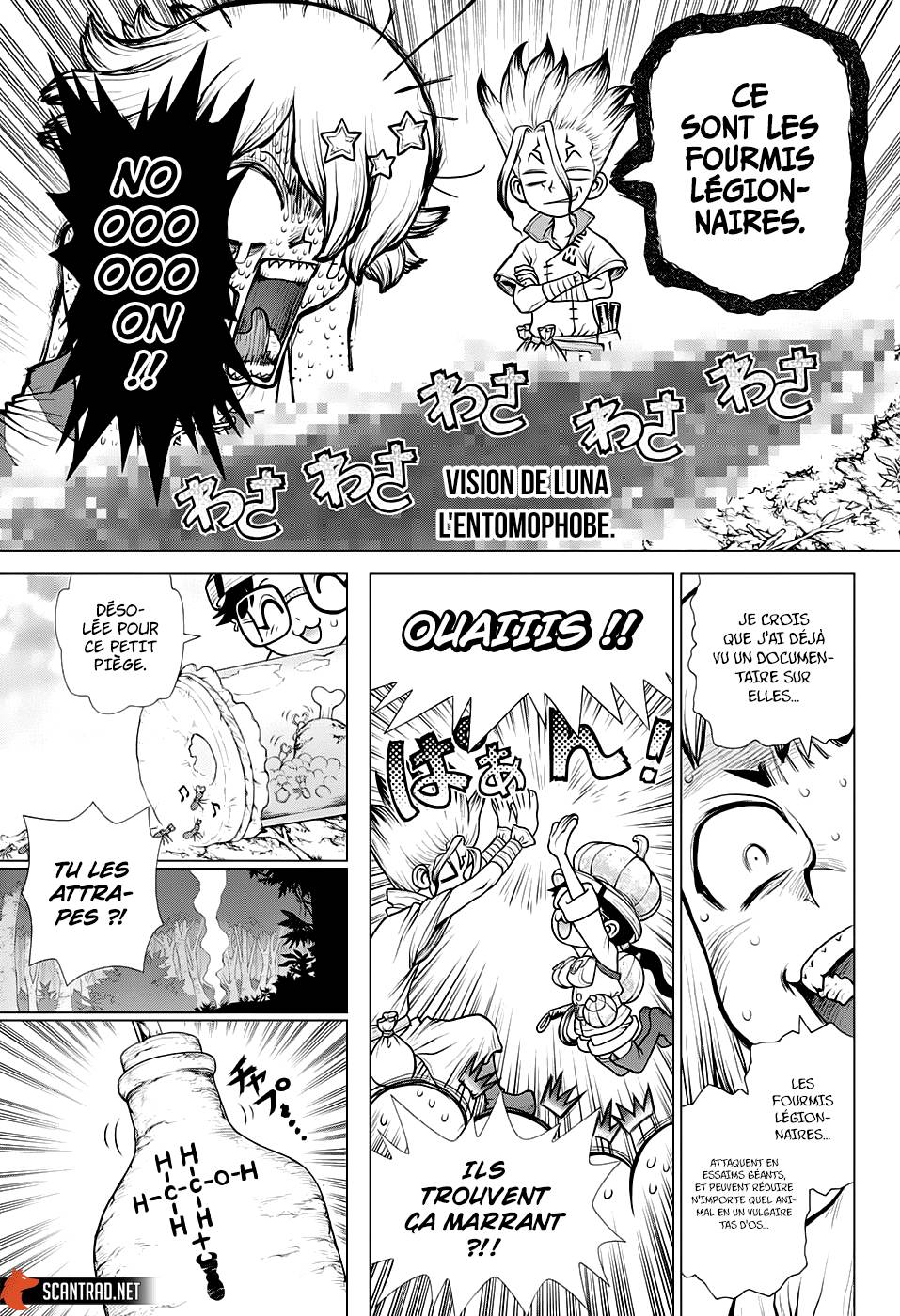 Read Dr Stone FR Manga Online
