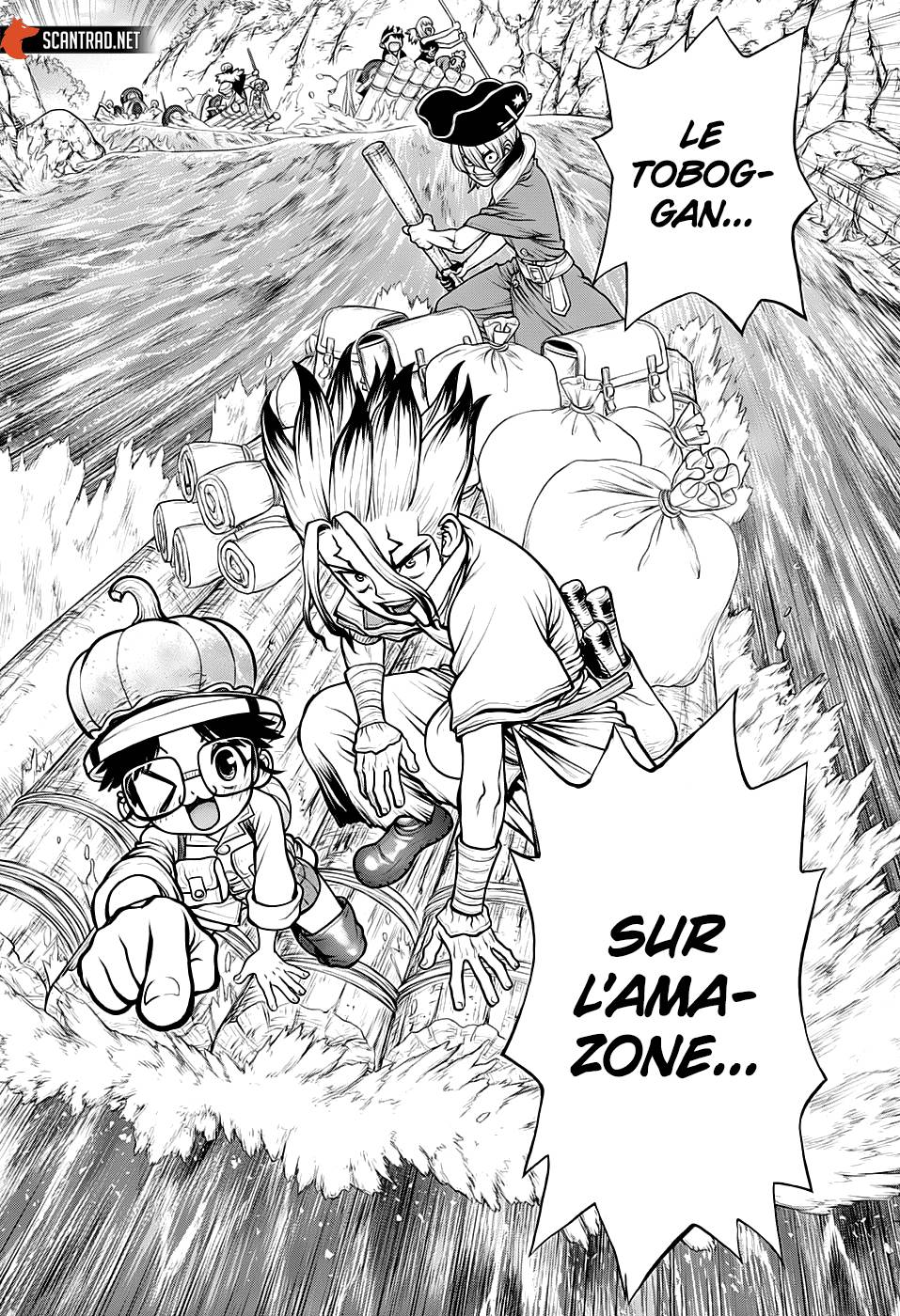 Read Dr Stone FR Manga Online