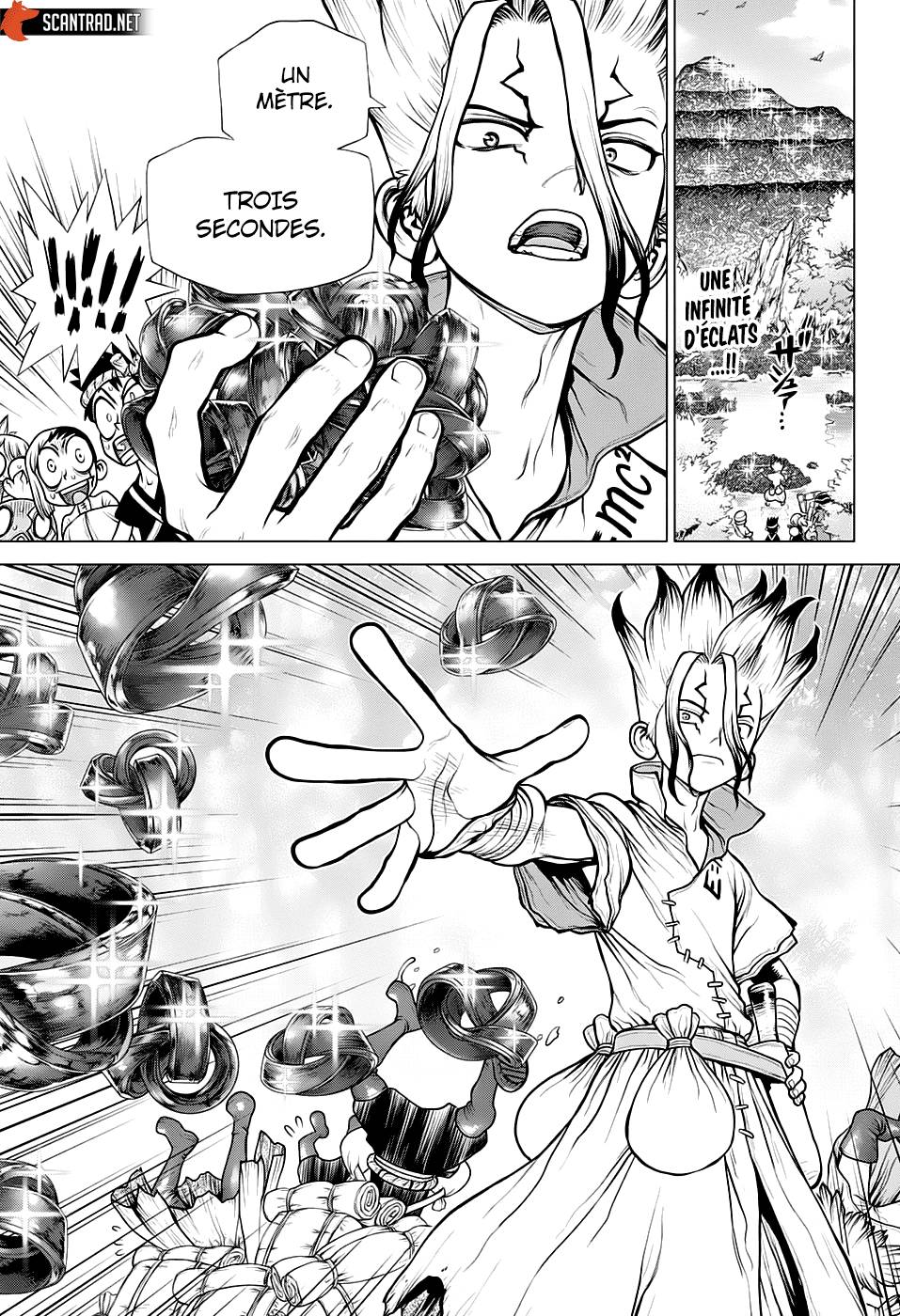 Read Dr Stone FR Manga Online