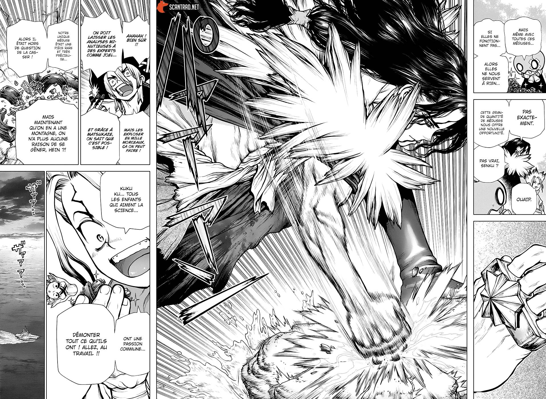 Read Dr Stone FR Manga Online