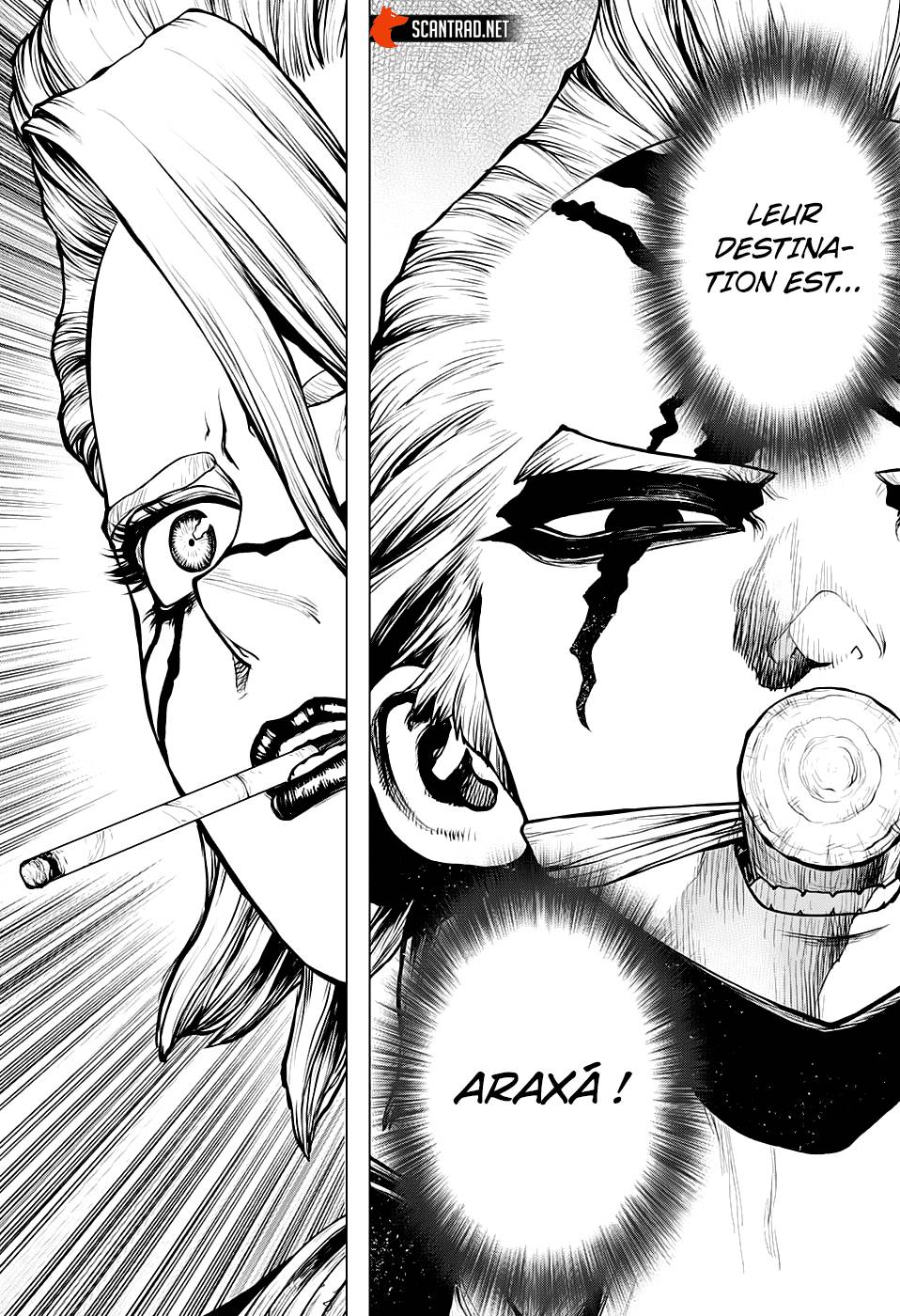Read Dr Stone FR Manga Online