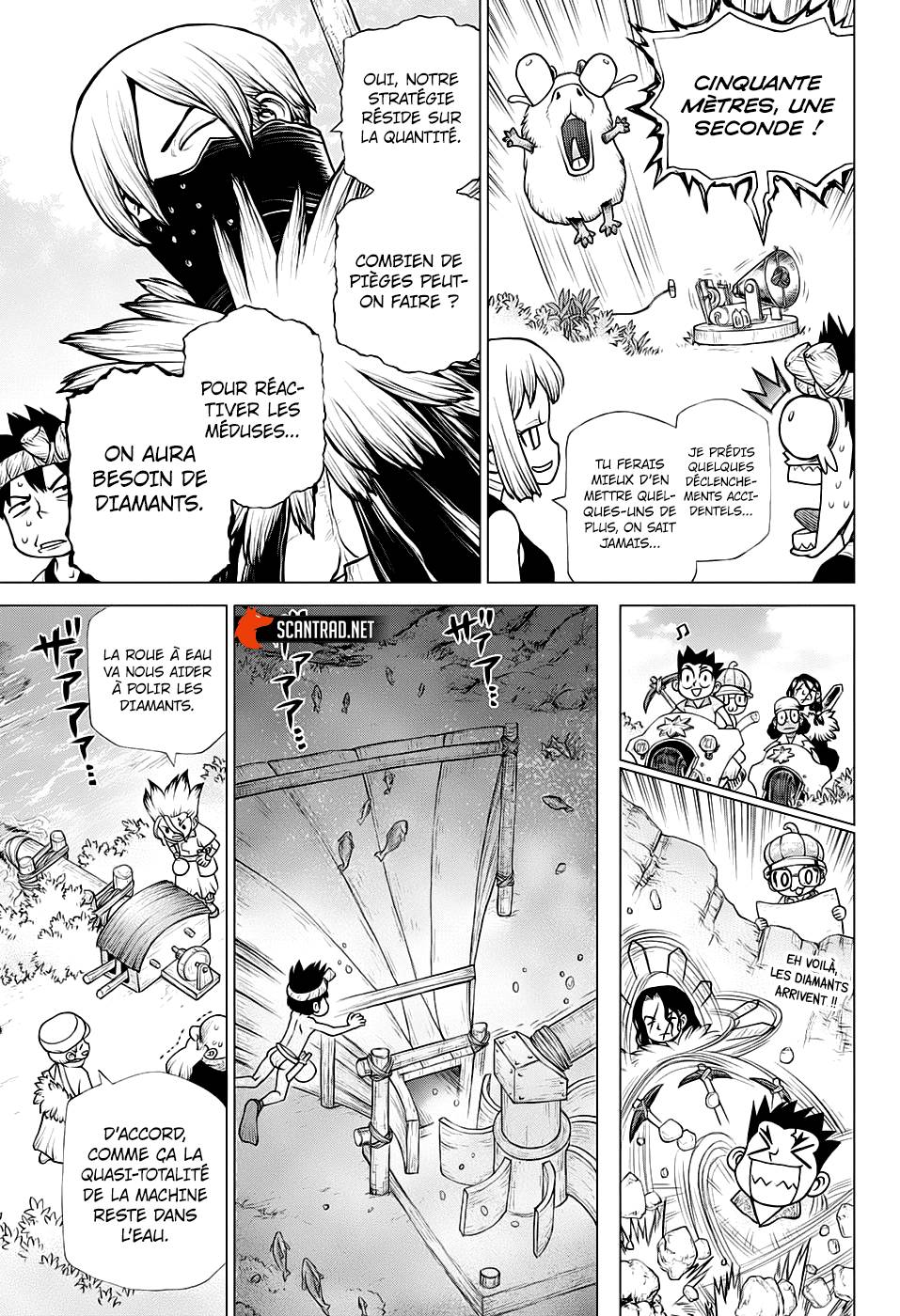 Read Dr Stone FR Manga Online