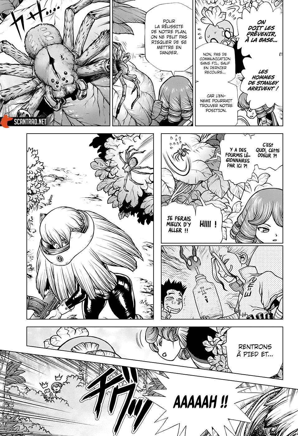 Read Dr Stone FR Manga Online