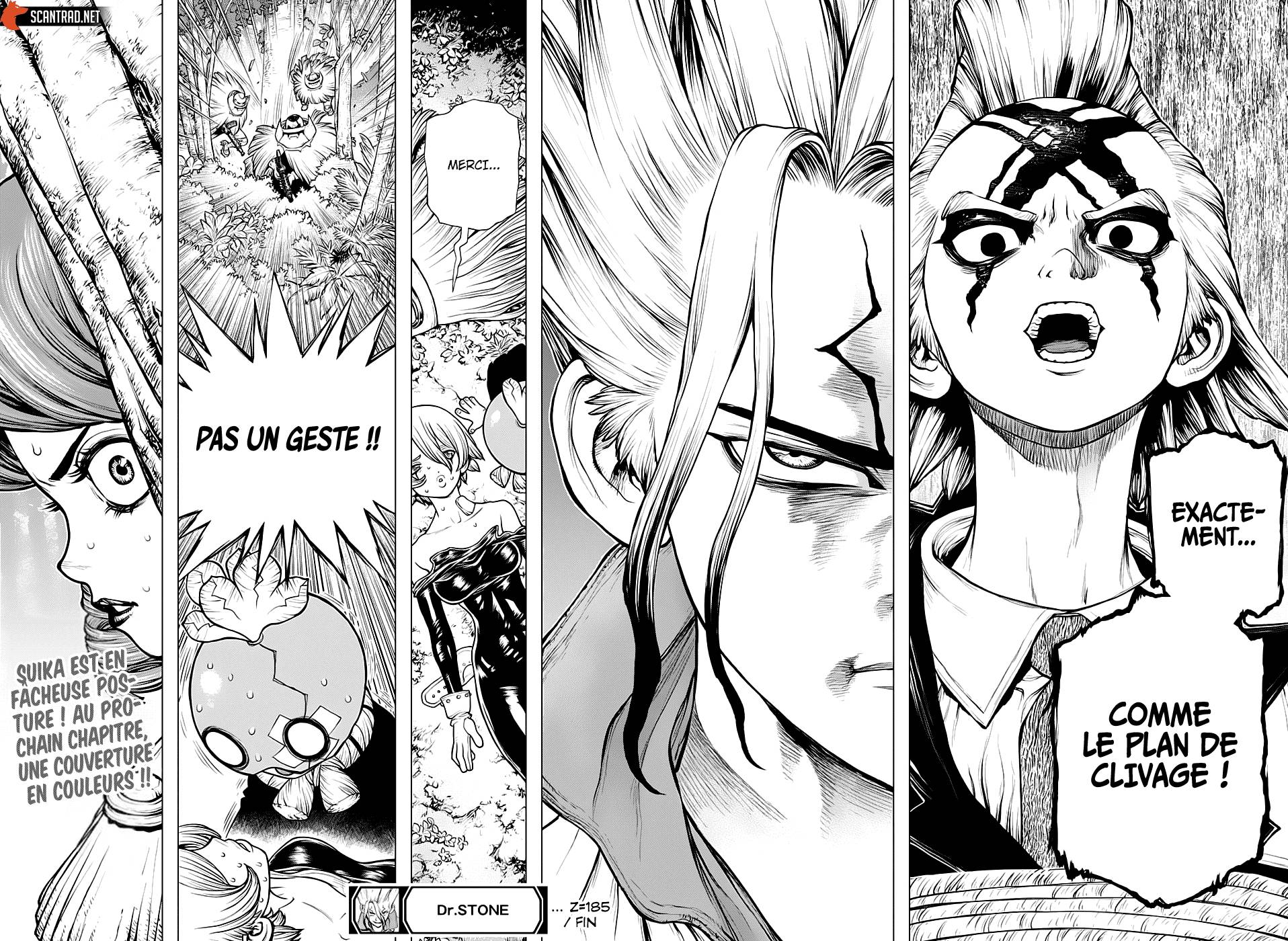 Read Dr Stone FR Manga Online