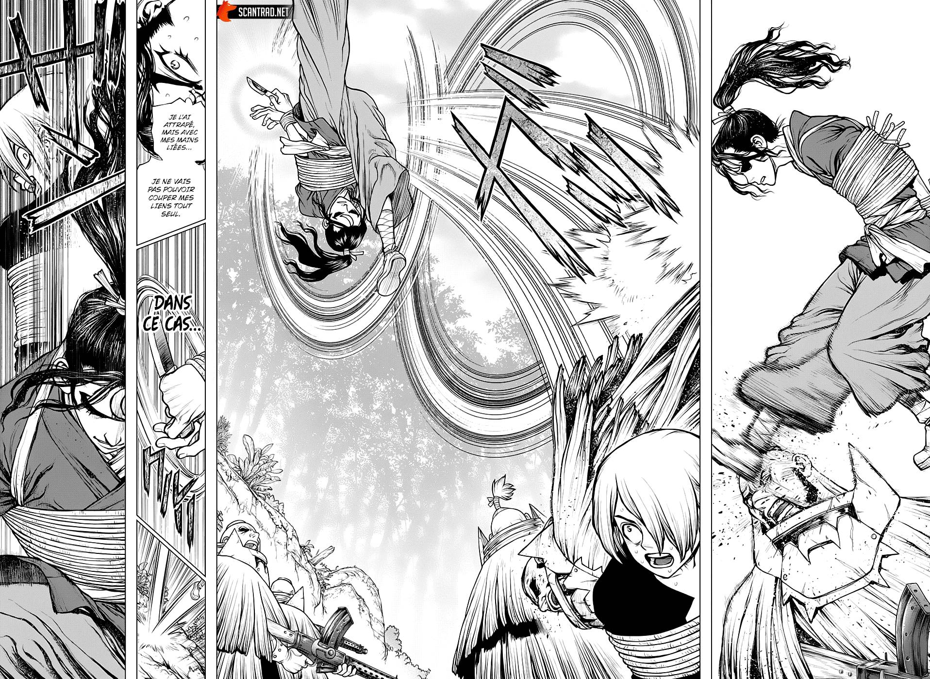 Read Dr Stone FR Manga Online