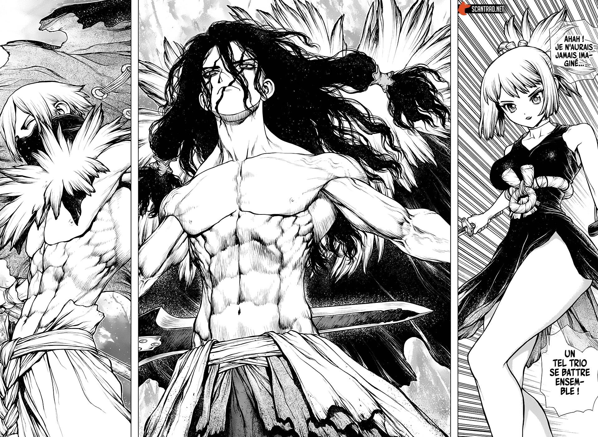 Read Dr Stone FR Manga Online