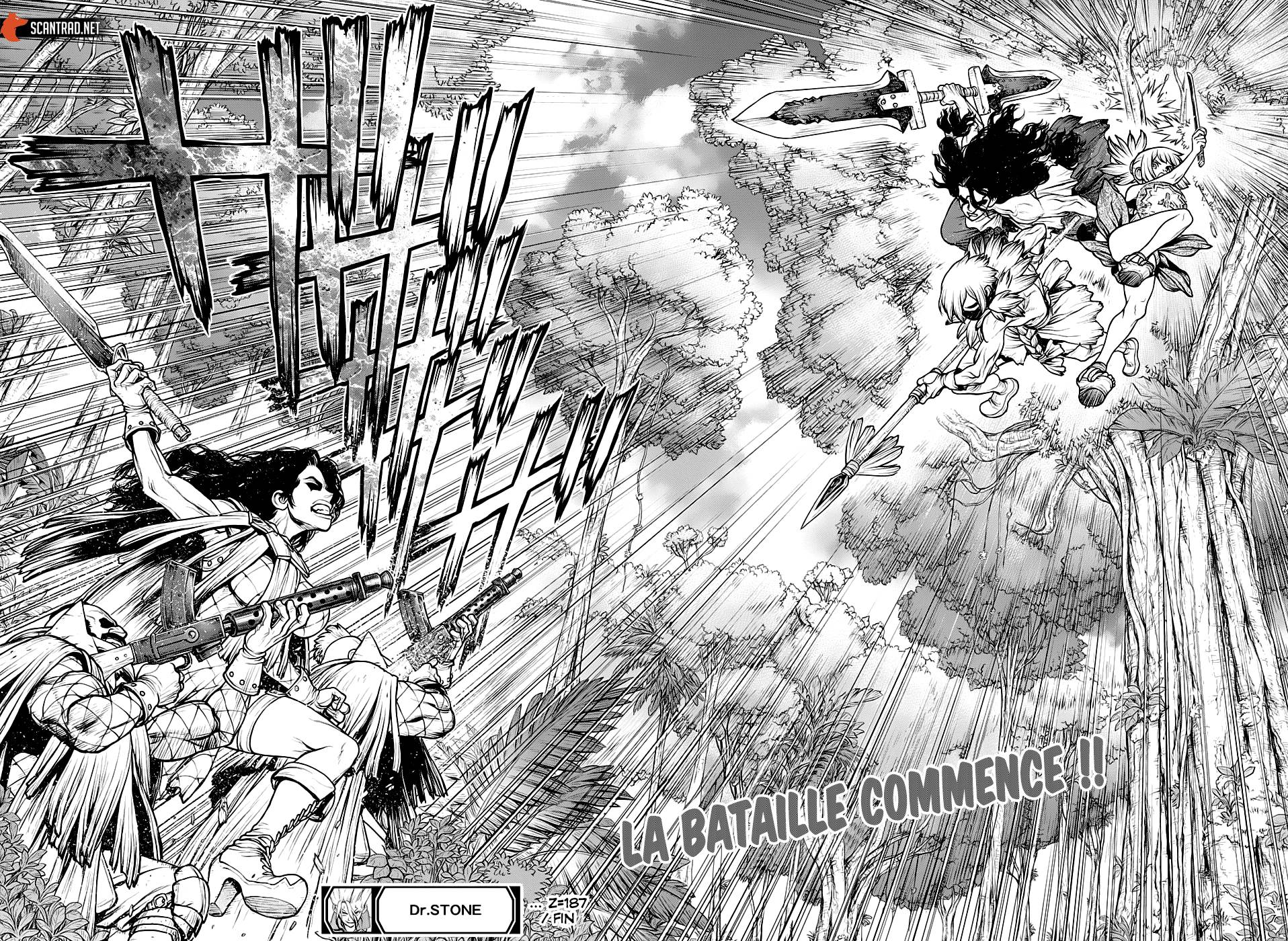Read Dr Stone FR Manga Online