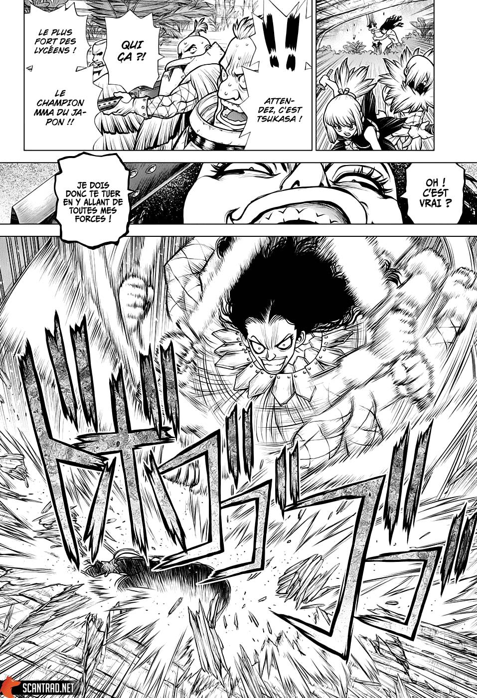 Read Dr Stone FR Manga Online