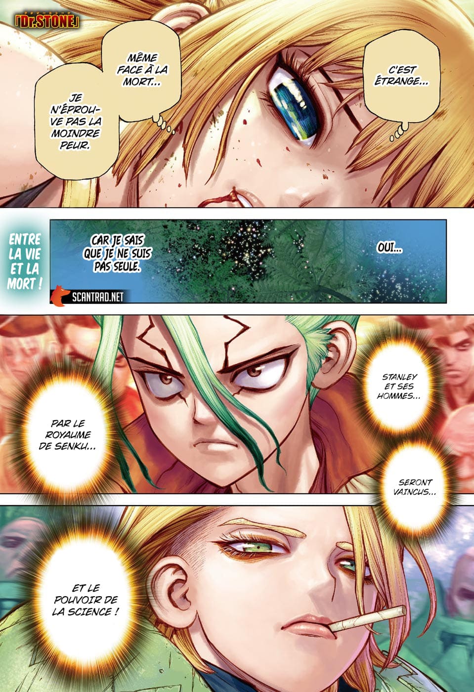 Read Dr Stone FR Manga Online
