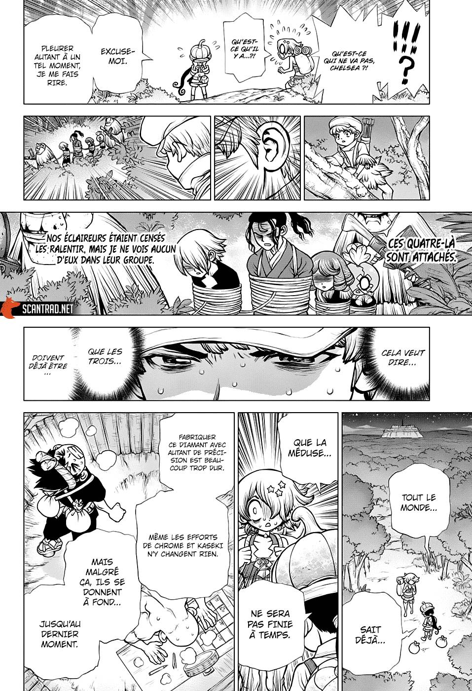 Read Dr Stone FR Manga Online