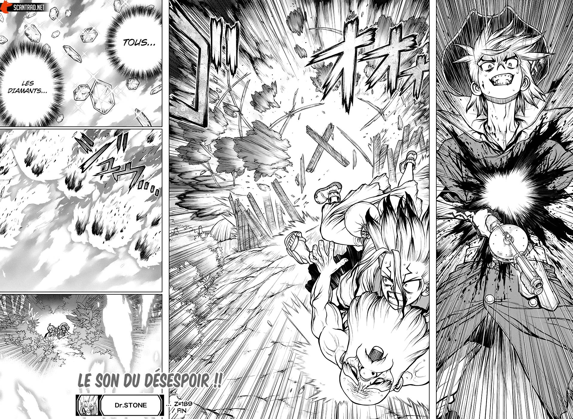 Read Dr Stone FR Manga Online