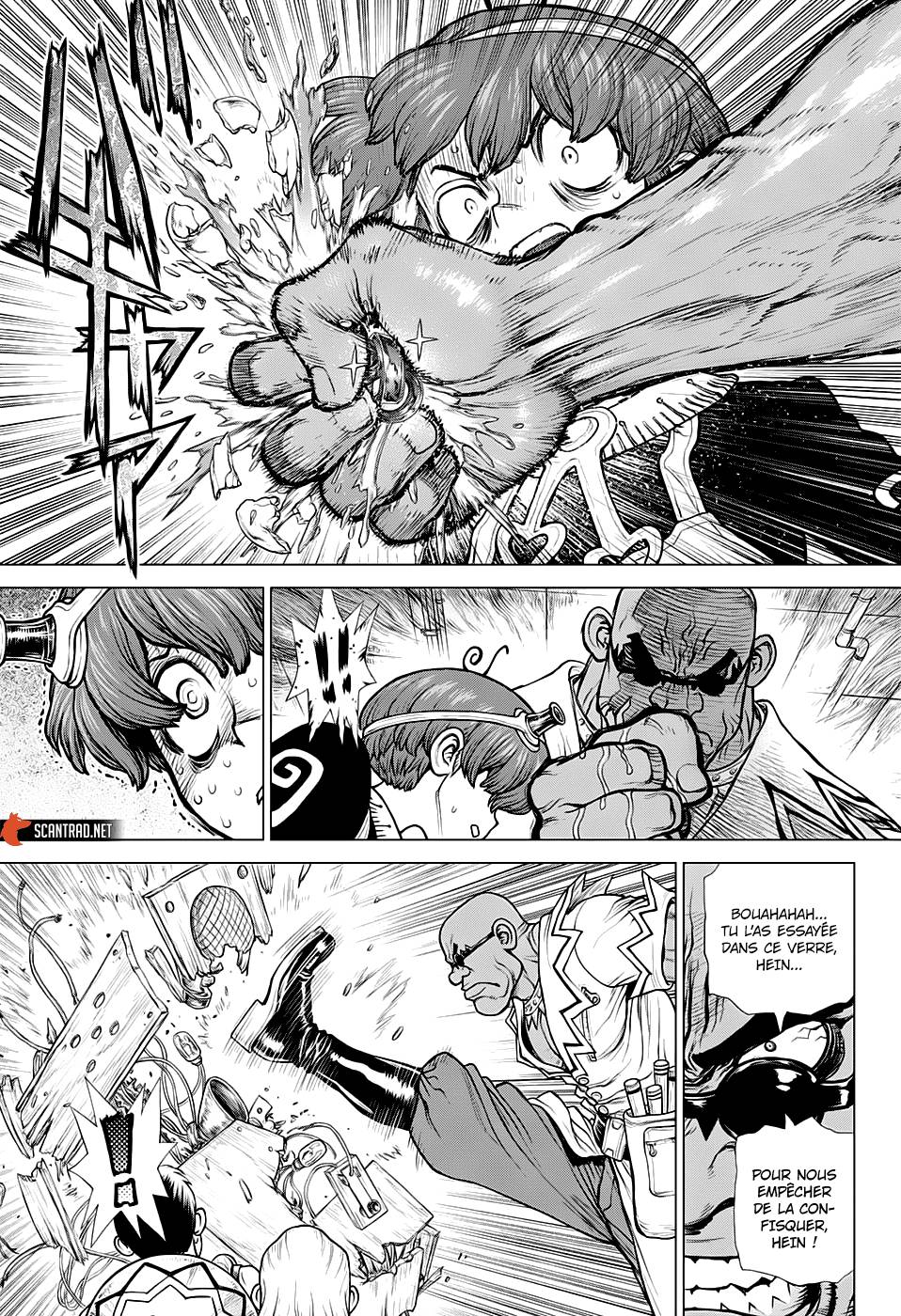 Read Dr Stone FR Manga Online