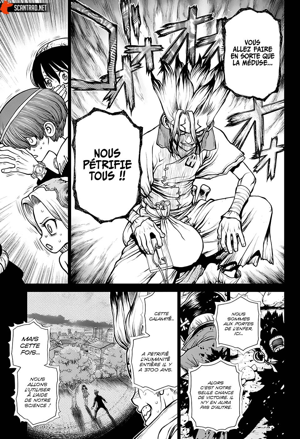Read Dr Stone FR Manga Online