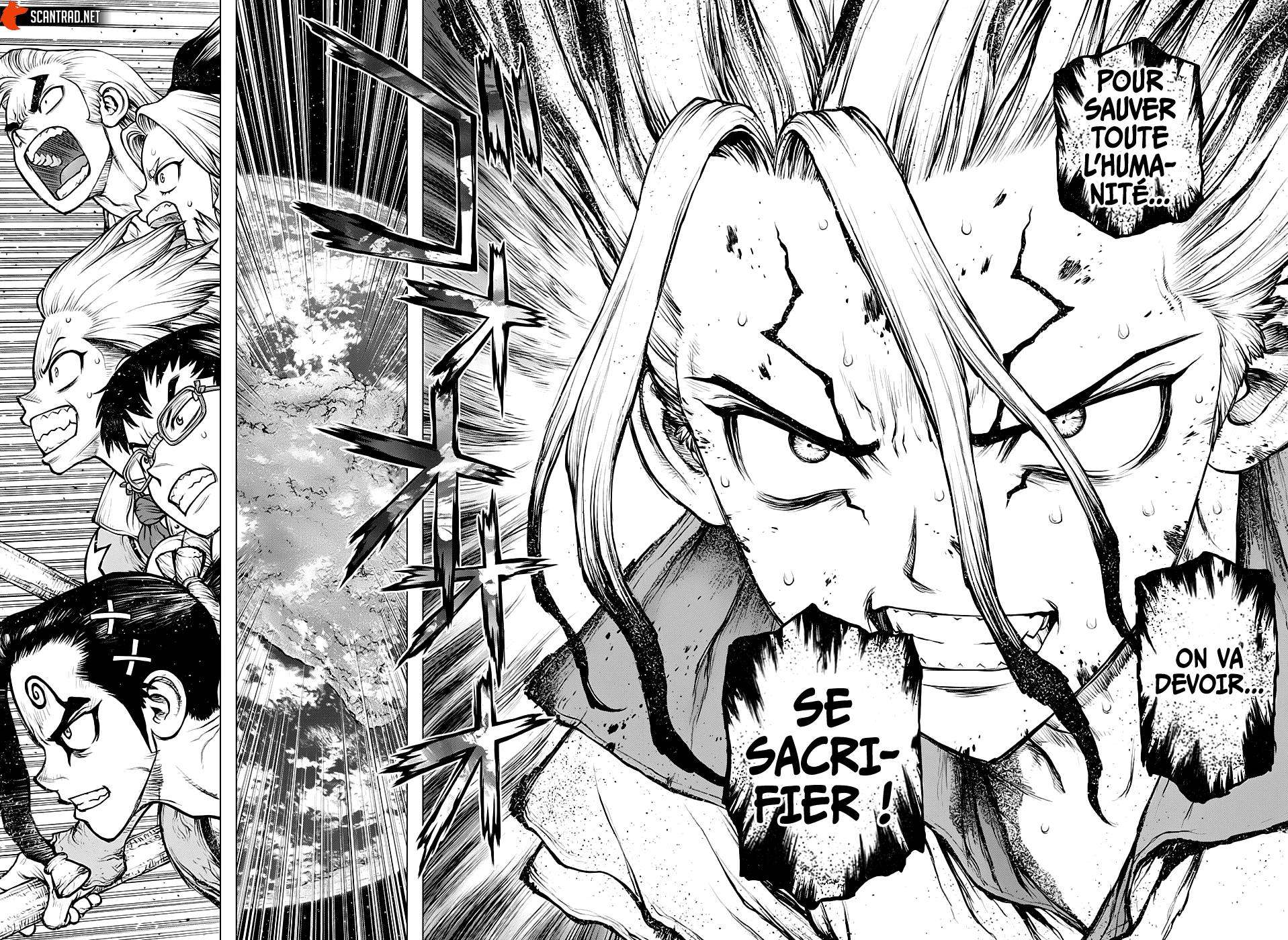 Read Dr Stone FR Manga Online
