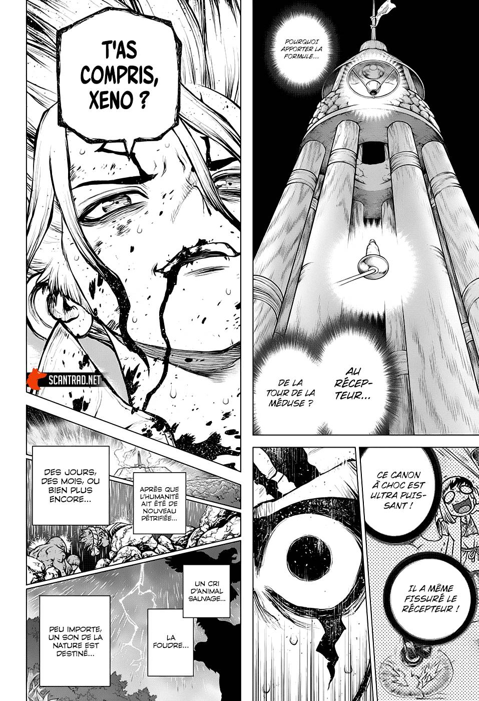 Read Dr Stone FR Manga Online