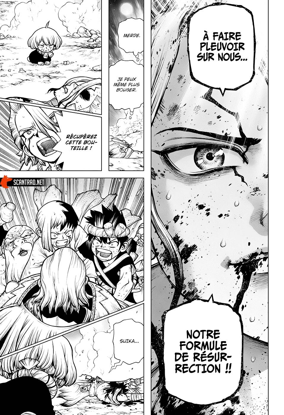 Read Dr Stone FR Manga Online
