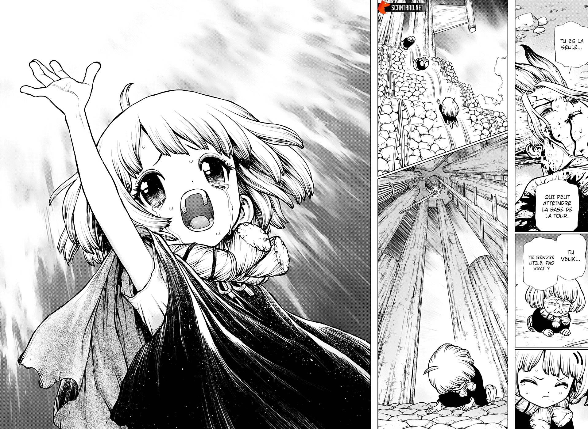 Read Dr Stone FR Manga Online