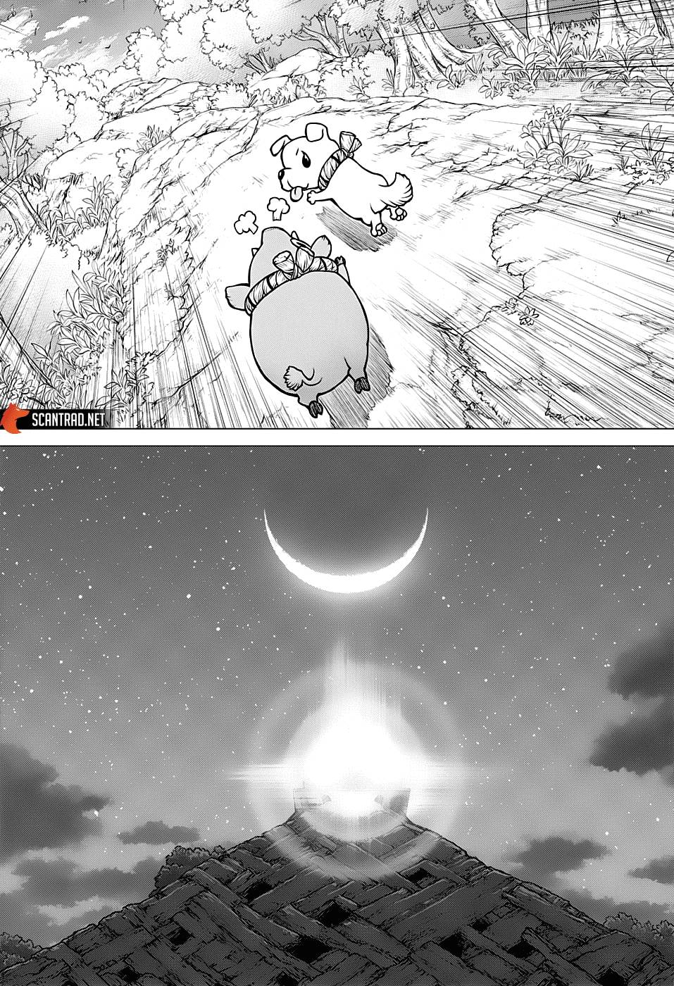 Read Dr Stone FR Manga Online