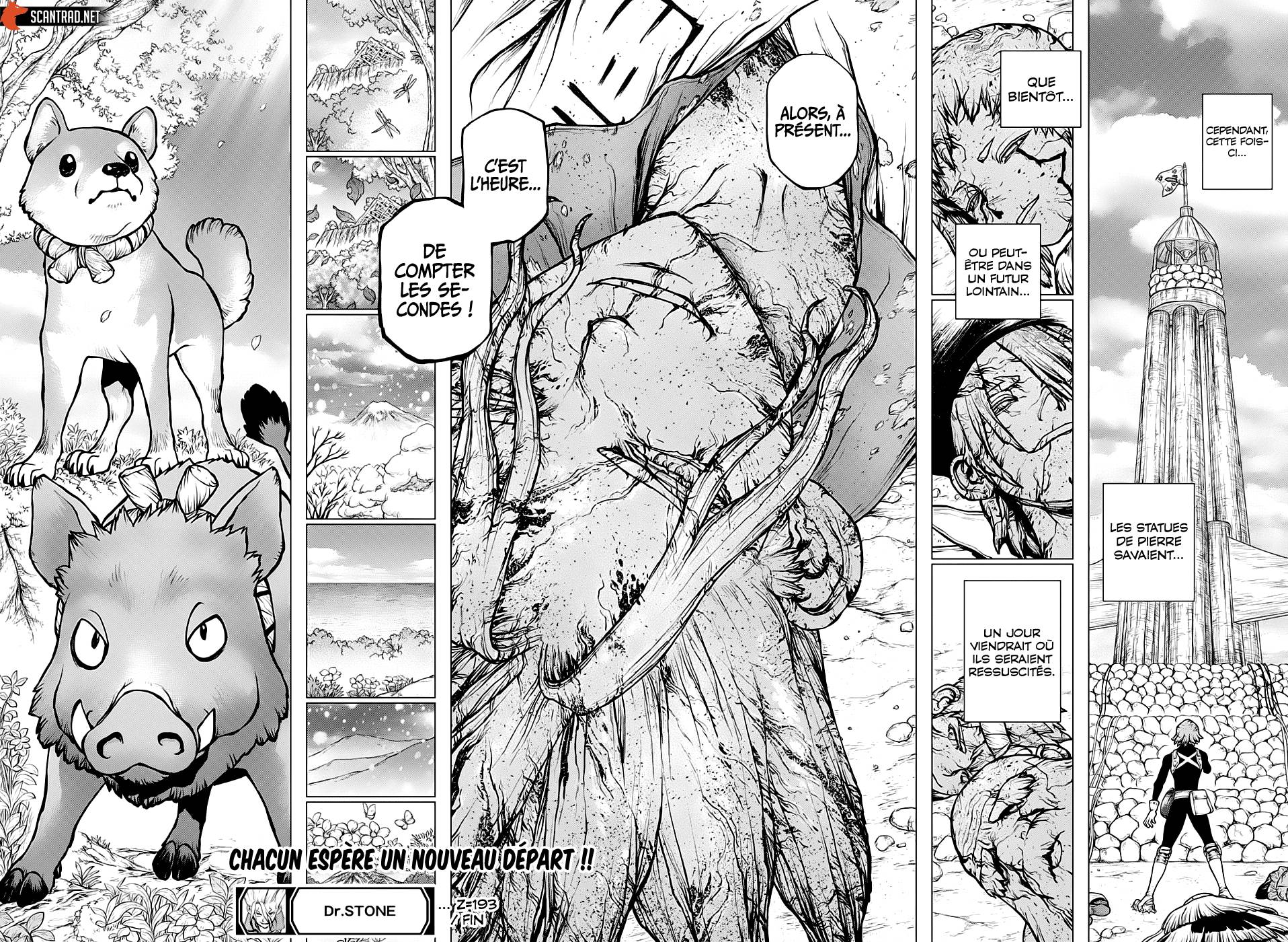Read Dr Stone FR Manga Online