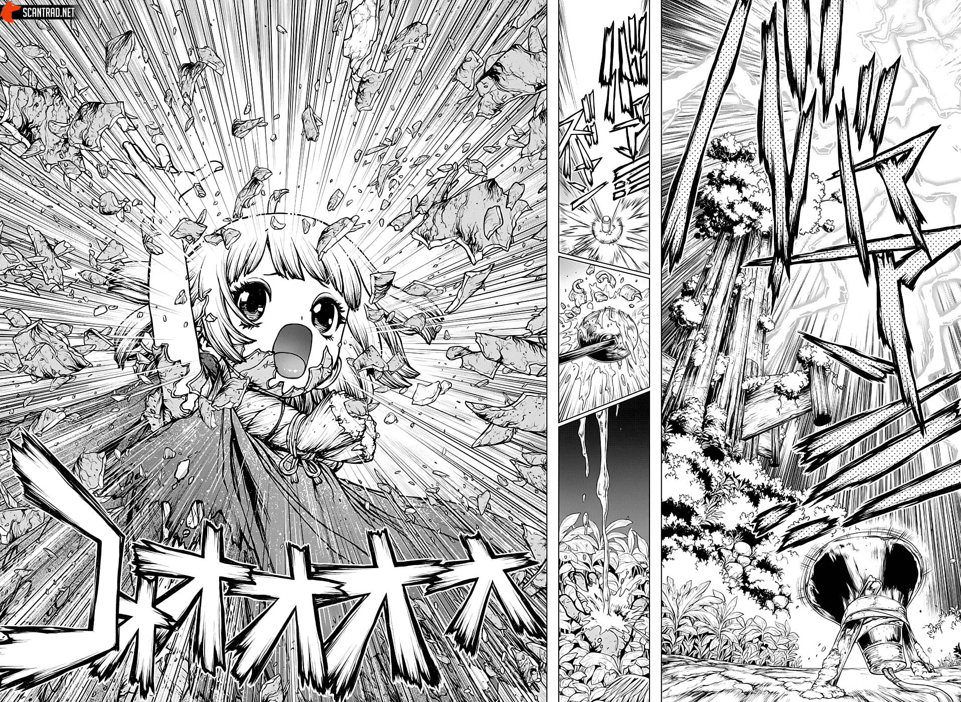 Read Dr Stone FR Manga Online