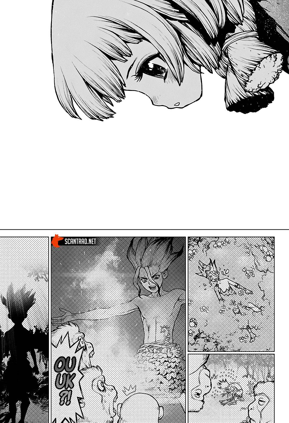 Read Dr Stone FR Manga Online