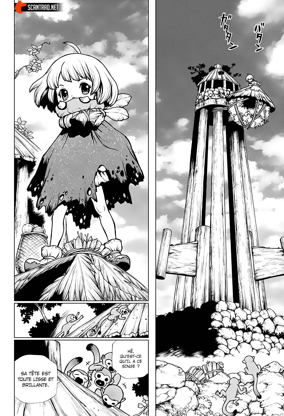 Read Dr Stone FR Manga Online