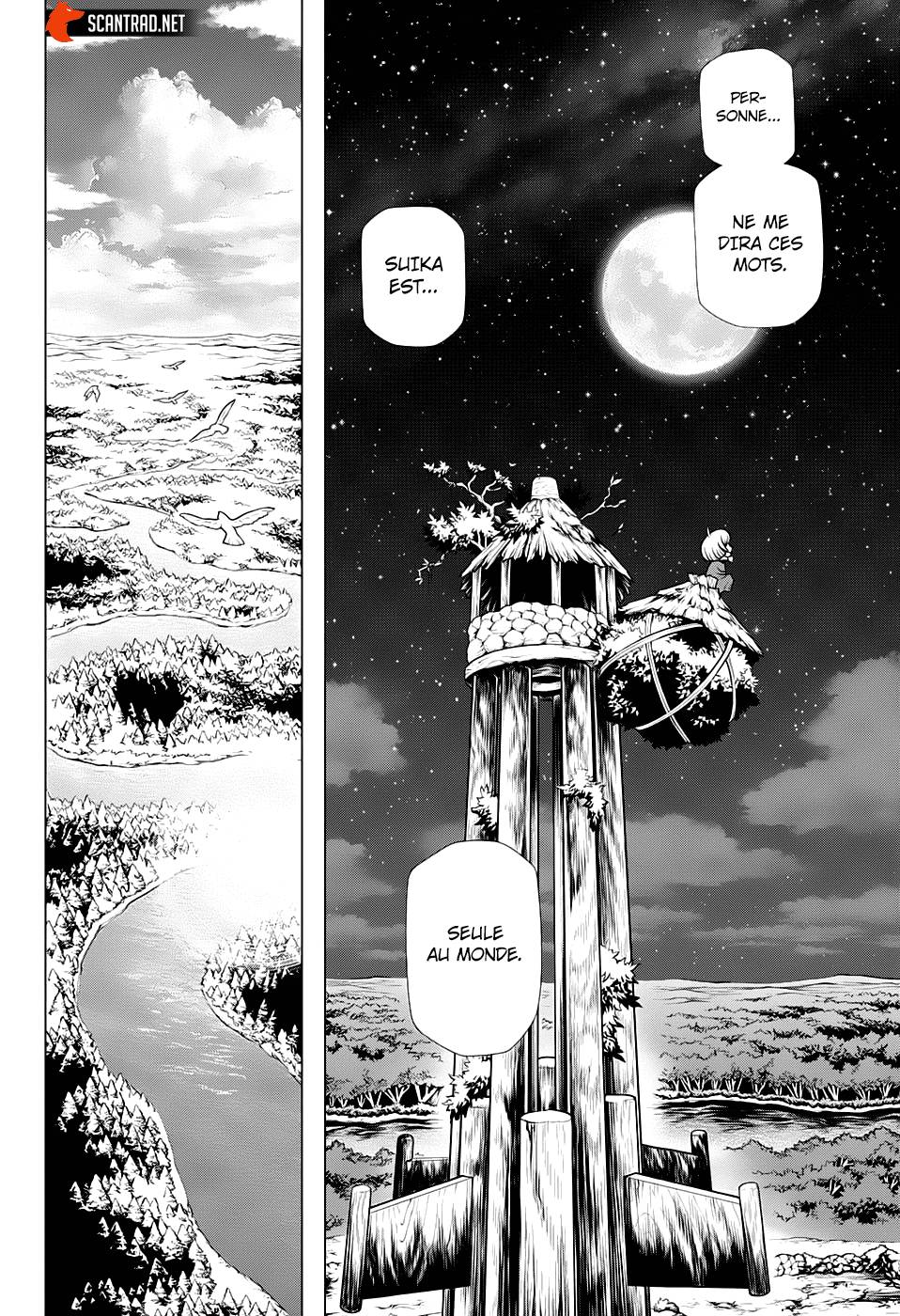 Read Dr Stone FR Manga Online